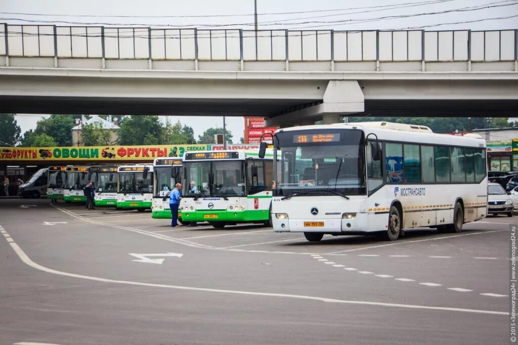 Автобусы Зеленоград. Зеленоградский автобус. Общественный транспорт Зеленоград. Автобус 10 Зеленоград.