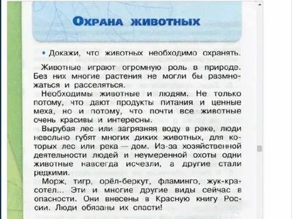 Почему важно беречь и защищать животных земли