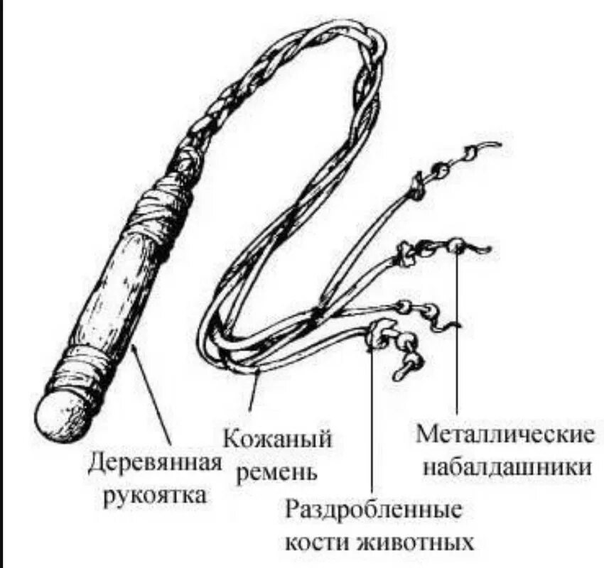 Описание плети
