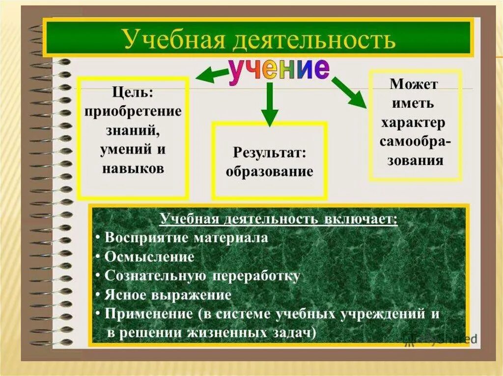 Учеба один из видов деятельности человека впр. Учебная деятельность. Учебный вид деятельности примеры. Понятие учебной деятельности. Учение как вид деятельности.