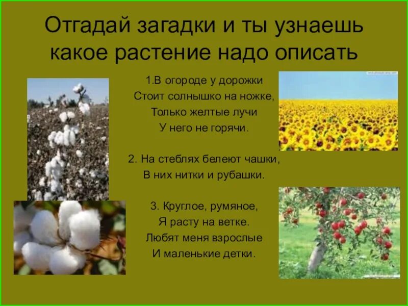 Тема сообщения 3 класс