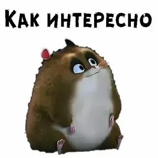 Что с хомяком в телеграмме сейчас