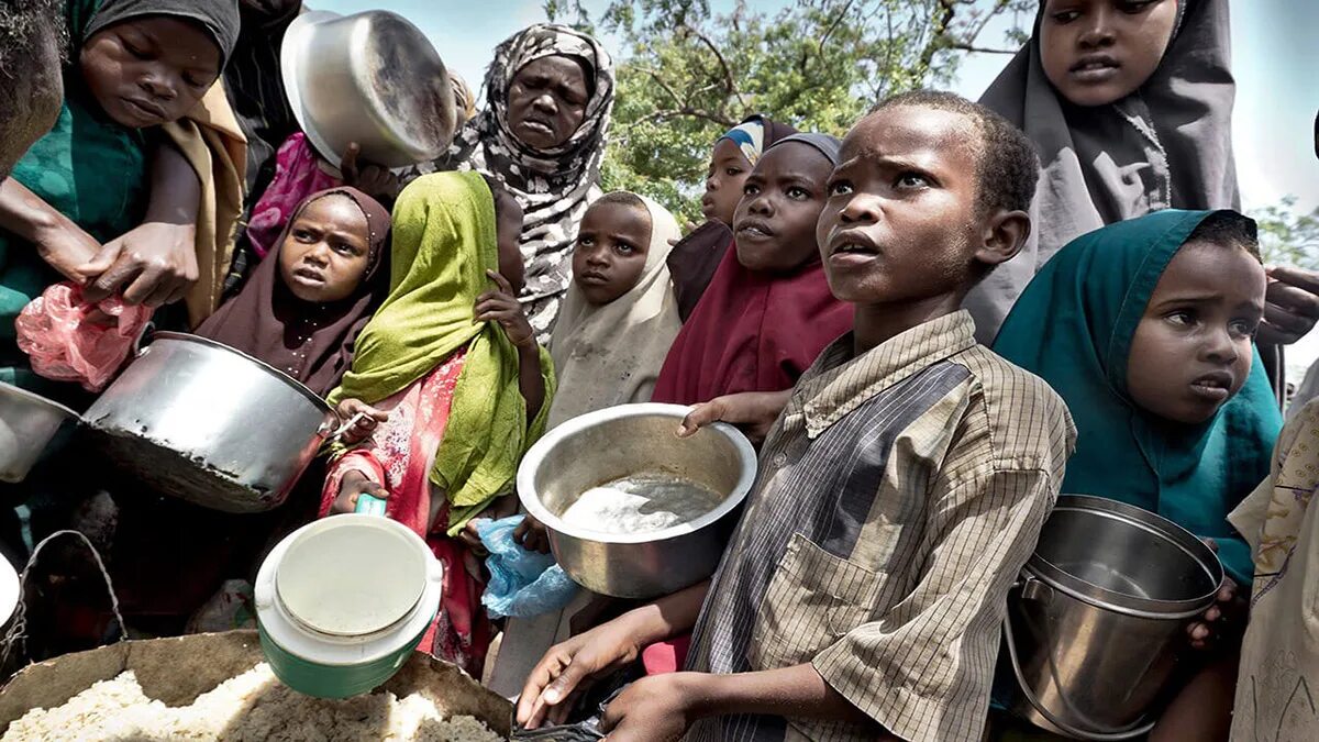 Голод и политика. Голодающие дети Африки третий мир. Продовольственная проблема.