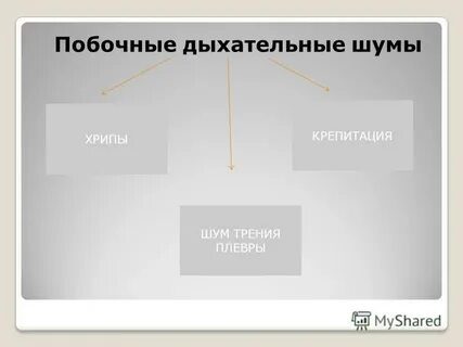Хрипы крепитация шум трения плевры