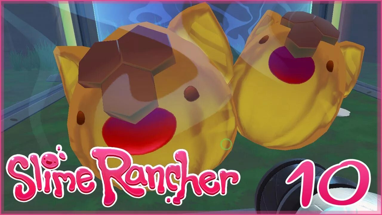 Дикий мед slime rancher. Табби худи СЛАЙМ ранчер. СЛАЙМ ранчер табби футболка. Дикий мёд Slime Rancher. Где можно найти дикий мед в СЛАЙМ ранчер.