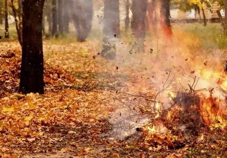 Осенний пожар текст песни