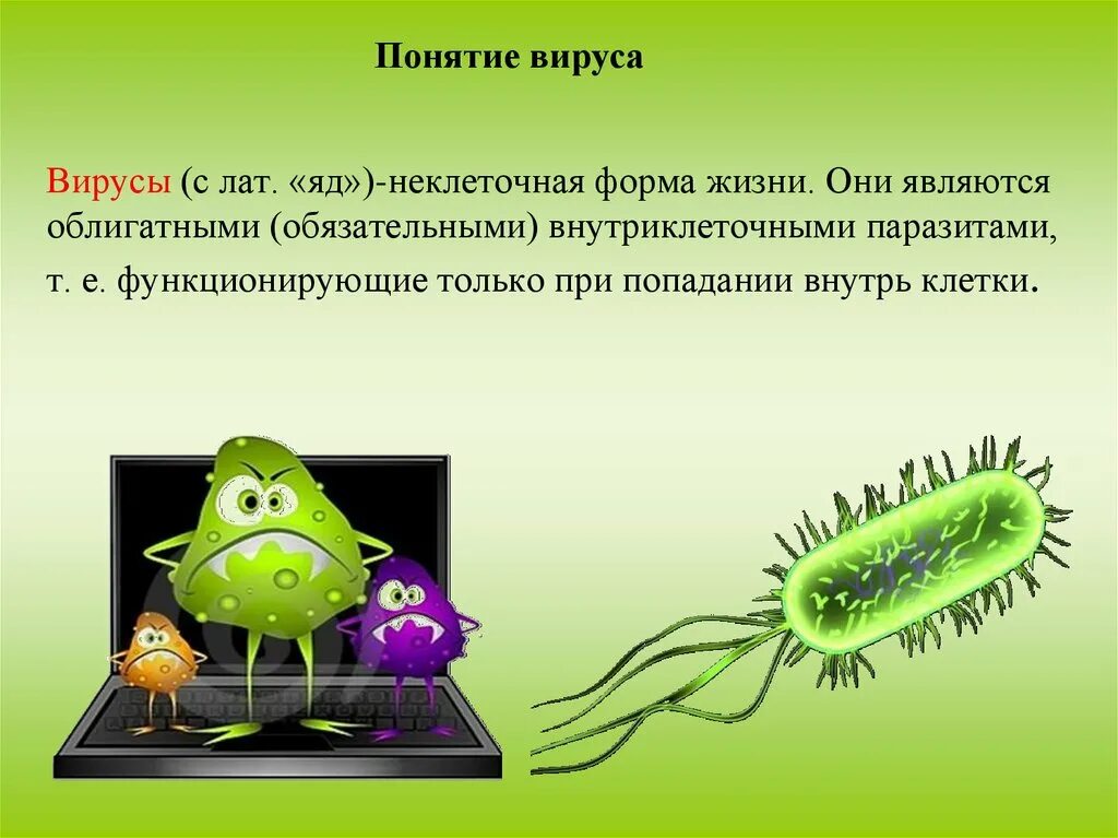 Есть ли вирусы на сайте. Вирус. Понятие о вирусах. Термин вирус. Вирусы это ОБЖ.