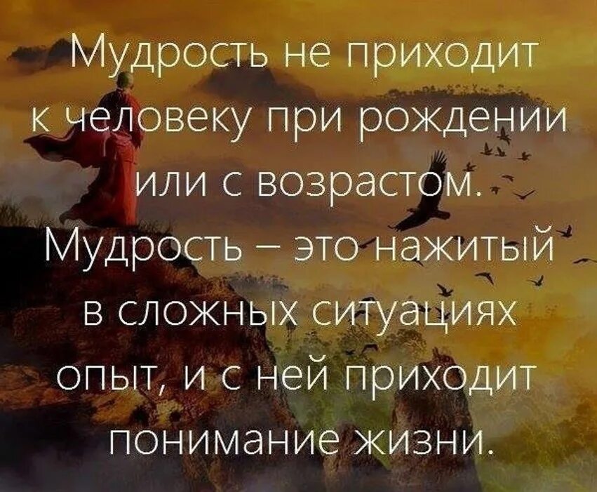 Человек придя в мир. Интересные цитаты. Мудрые афоризмы. Высказывания о мудрости. Афоризмы про мудрость.