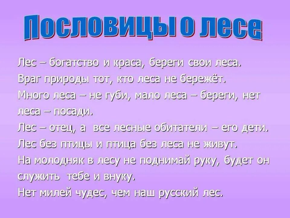 Пословицы и поговорки о жизни 4 класс. Пословицы о лесе. пословицы о природе. пословицы и поговорки о лесе. пословицы ипоговоркми оприррде.