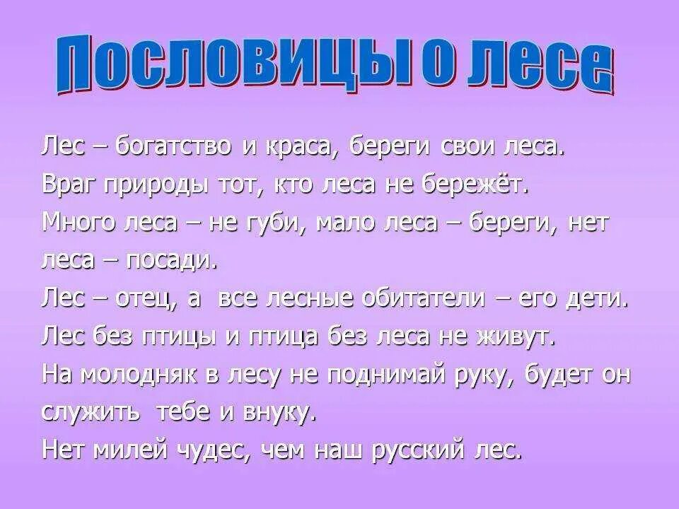 2 3 поговорки. Пословицы о лесе. Пословицы о лисе. Пословицы и поговорки о лесе. Пословицы о природе.