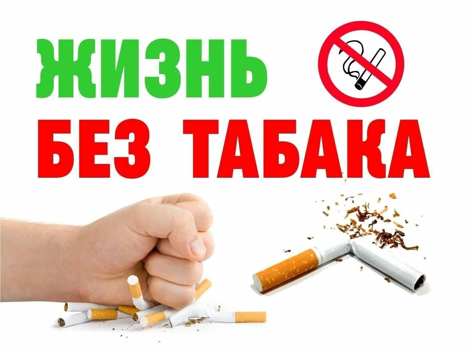 Выбираем жизнь без табачного дыма. Выбираем жизнь без табачного дыма
