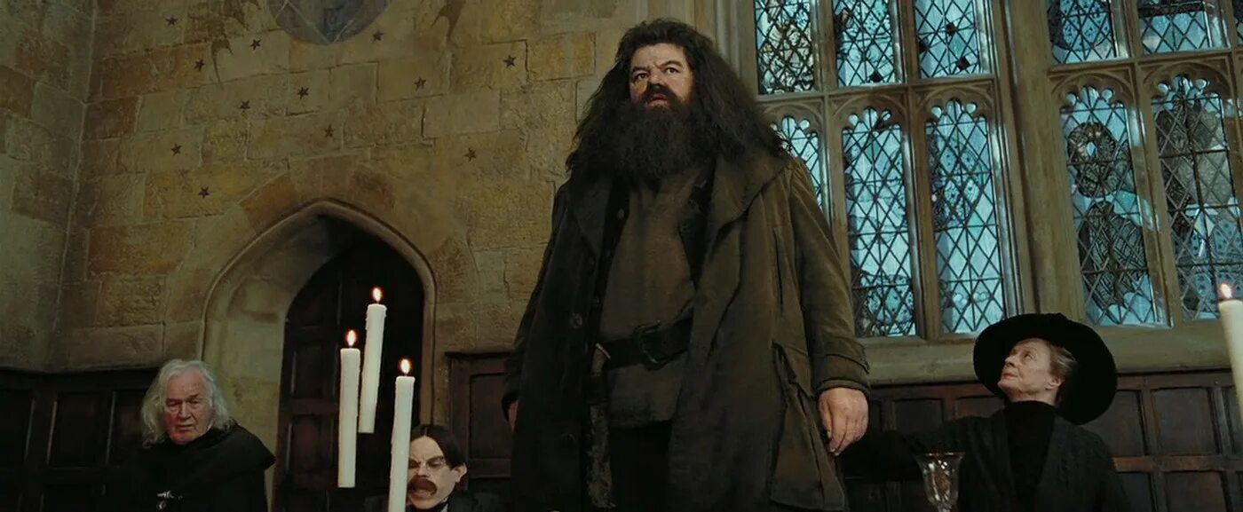 Северус снегг и гарри поттер. Профессор минерва макгонагалл. Все учителя хогвартса. Персонажи гарри поттера учителя хогвартса. Учителя хогвартса минерва макгонагалл.