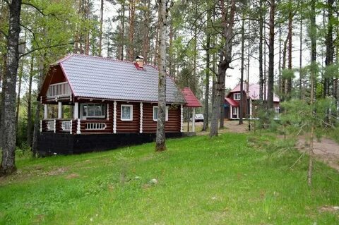 Аленушка новгородская область