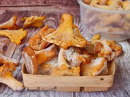 Лисички грибы замороженные рецепты приготовления