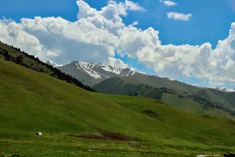 Гора алатау казахстан