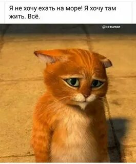 Ну пожалуйста скажи зачем
