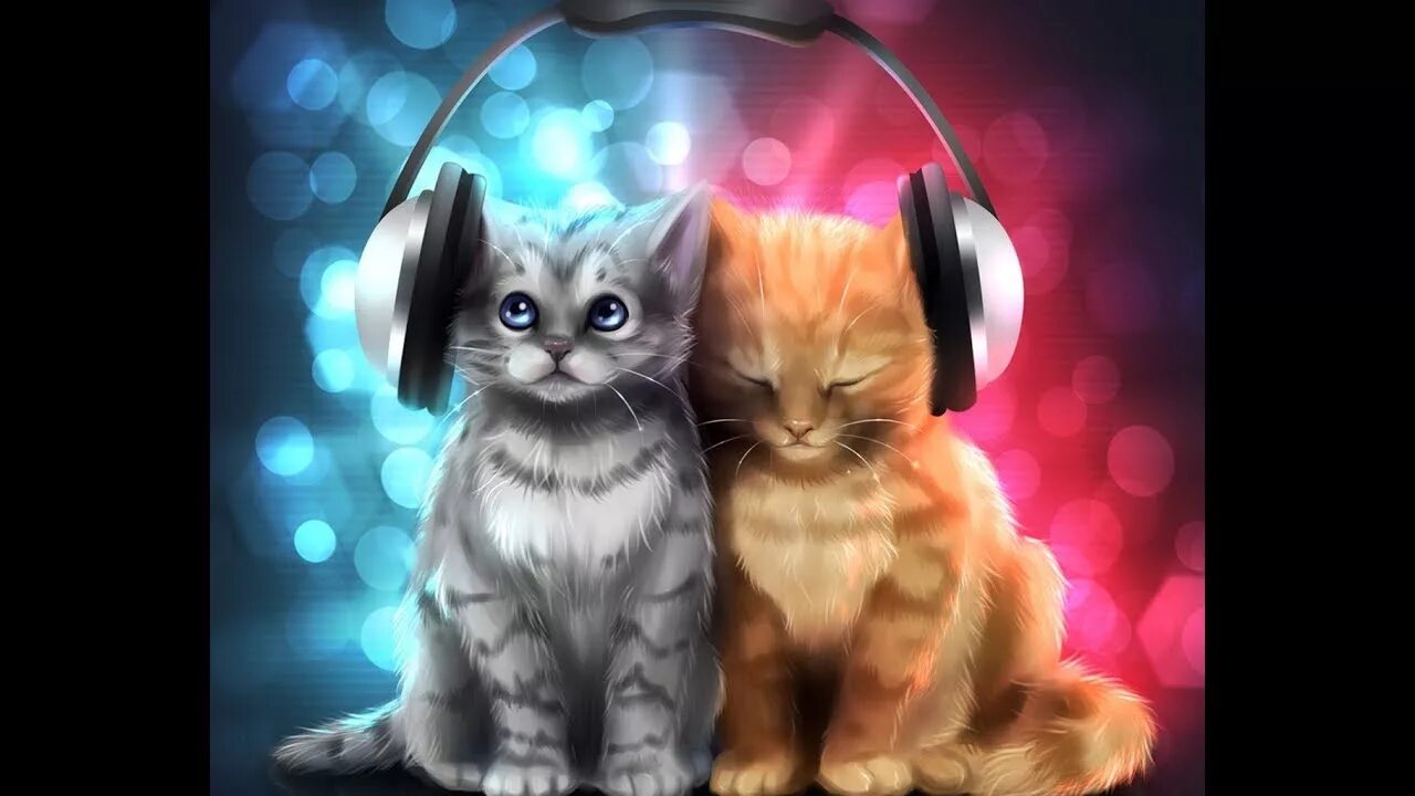 Какую песню пел кот в маске. Котенок арт. кот в наушниках. заставка на рабочий стол котята. котята на аву.