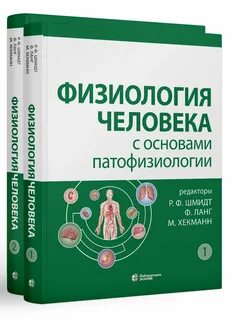 Физиология человека
