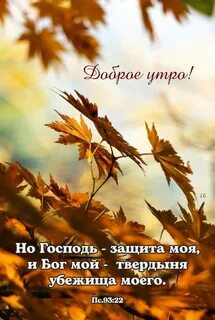 Листья мысли