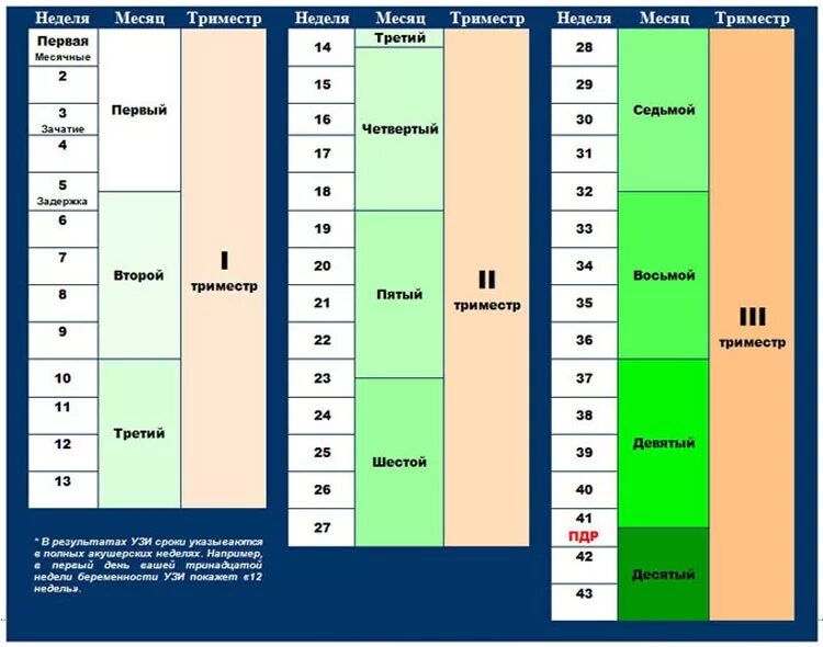 Триместры беременности по неделям и месяцам таблица. 1 Триместр беременности по неделям. Семестры беременности по неделям таблица. Таблица триместров беременности по неделям. 3 триместр сроки