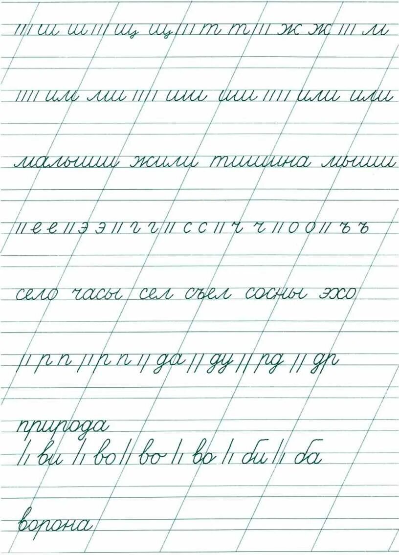 Чистописание. Прописи по чистописанию. Каллиграфия для первого класса. Прописи каллиграфия 1 класс.