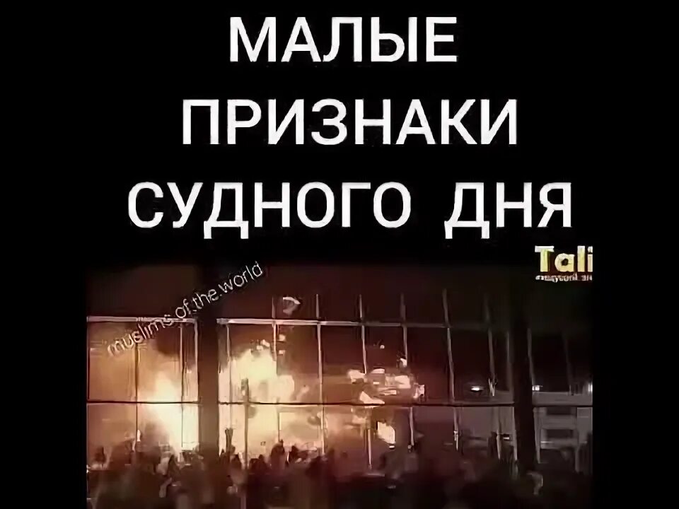 Сколько признаков судного дня. Малые признаки судного дня. малые признаки судного дня в исламе. признаки судного дня которые сбылись.