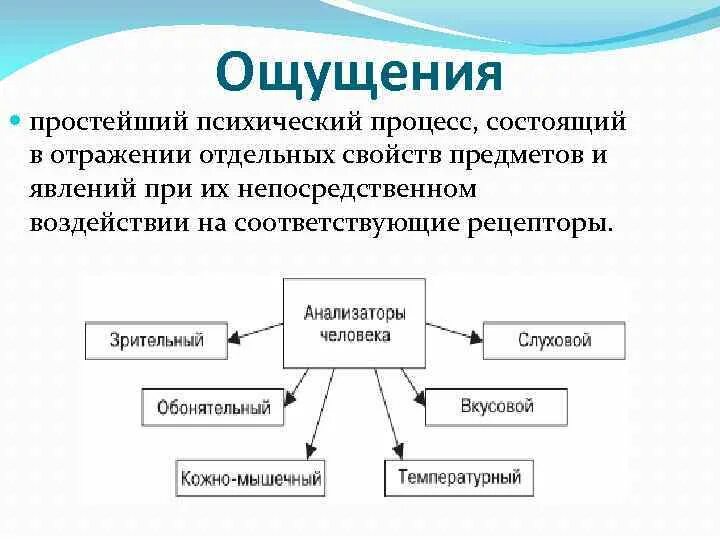 Свойства процесса ощущений. Ощущение как психический познавательный процесс. Психологический процесс ощущение. Простейший познавательный психический процесс. Психические процессы схема.