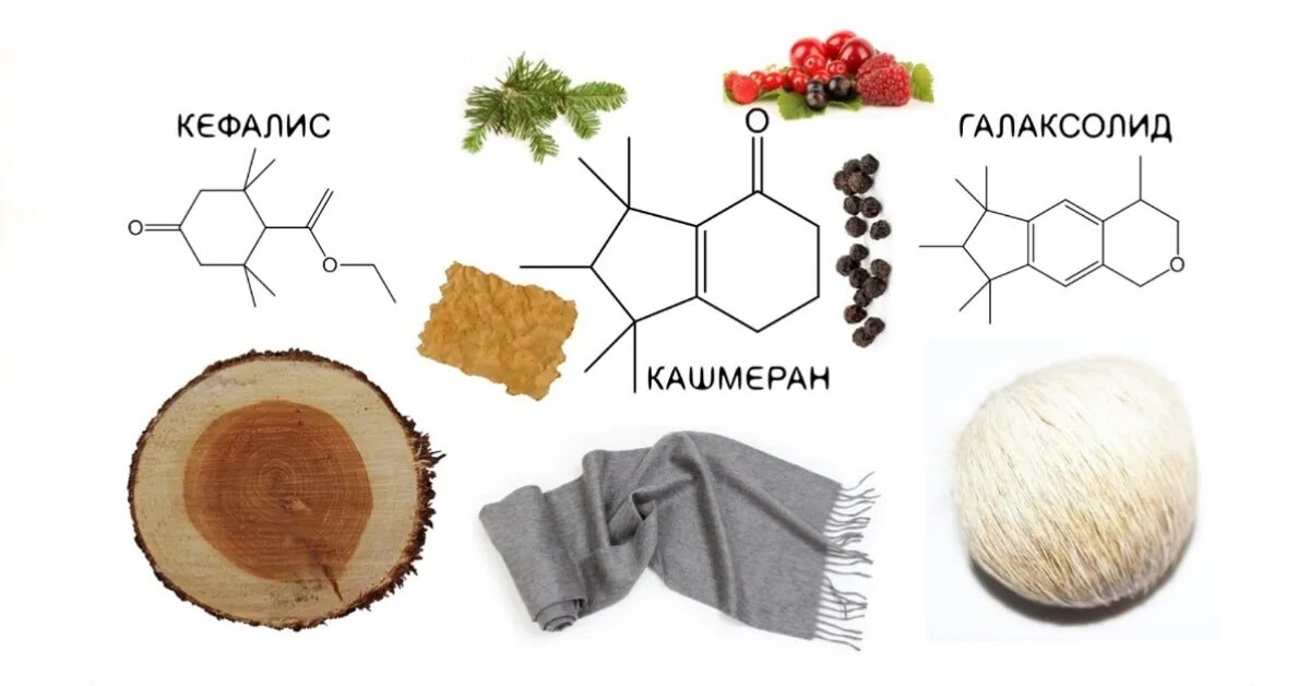 Кашемировое дерево аромат. Кашмеран в парфюмерии. Древесные Ноты в парфюмерии. Аромат кашемировое дерево, мускус.
