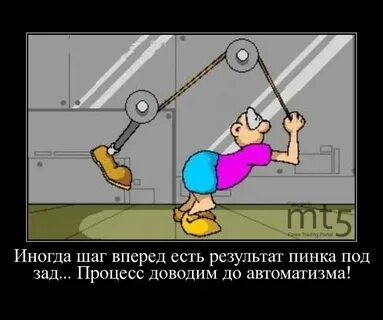 Не в зад не вперед
