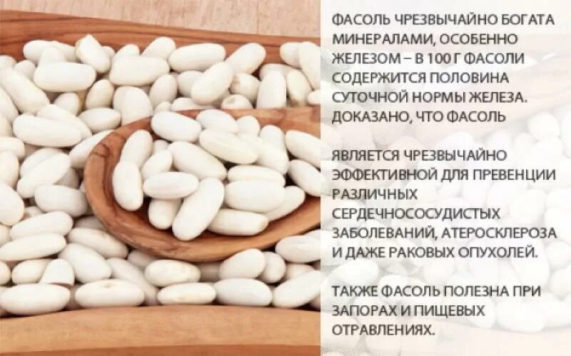 В фасоли содержится витамин. Фасоль белая. чем полезна белая фасоль. белая фасоль витамины. белая фасоль польза.