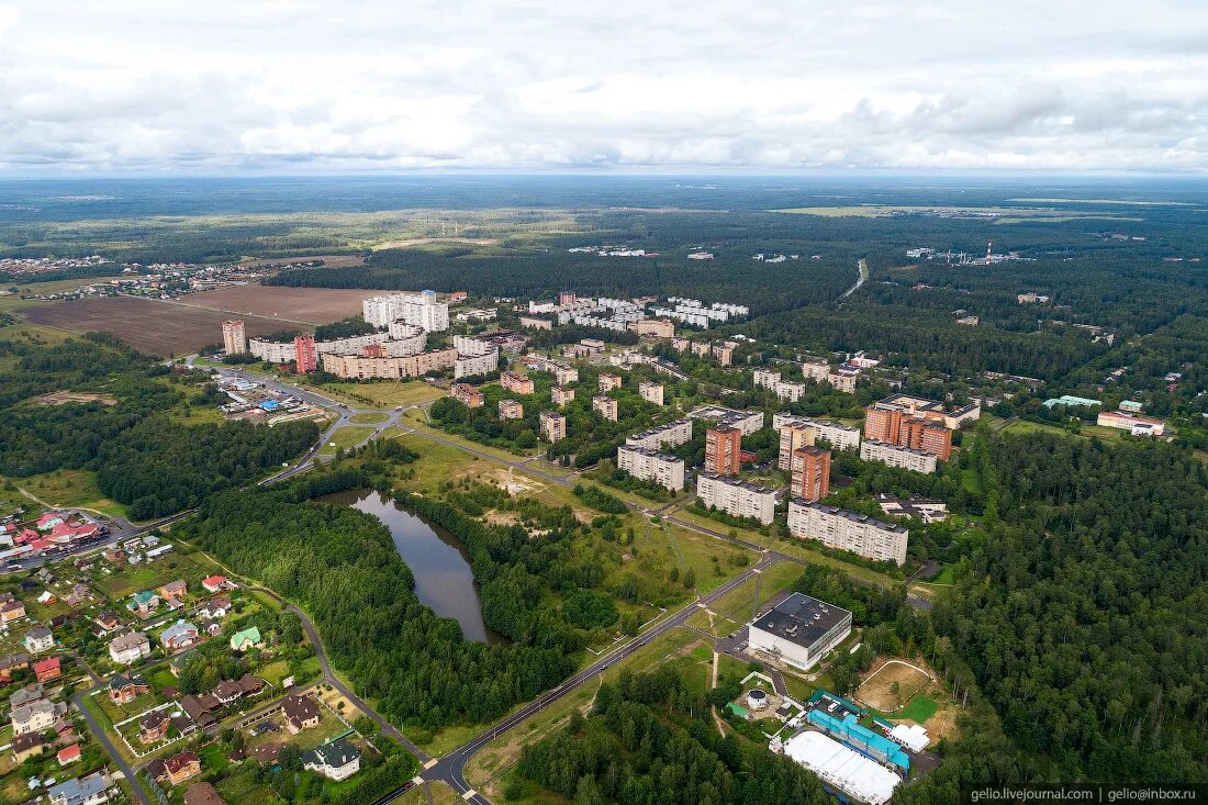 Черноголовка пос гор