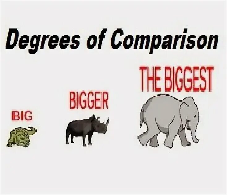 Degrees of comparison ответы. Degrees of Comparison. Интерактивный шаблон degrees of Comparison. Degrees of Comparison animals. Degrees of Comparison Quiz.