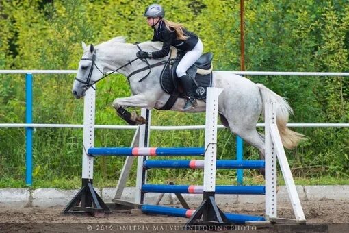 Конный клуб аллюр бор. Аллюр в конном спорте. Аллюр бор. Аллюр бор. Аллюр бор.
