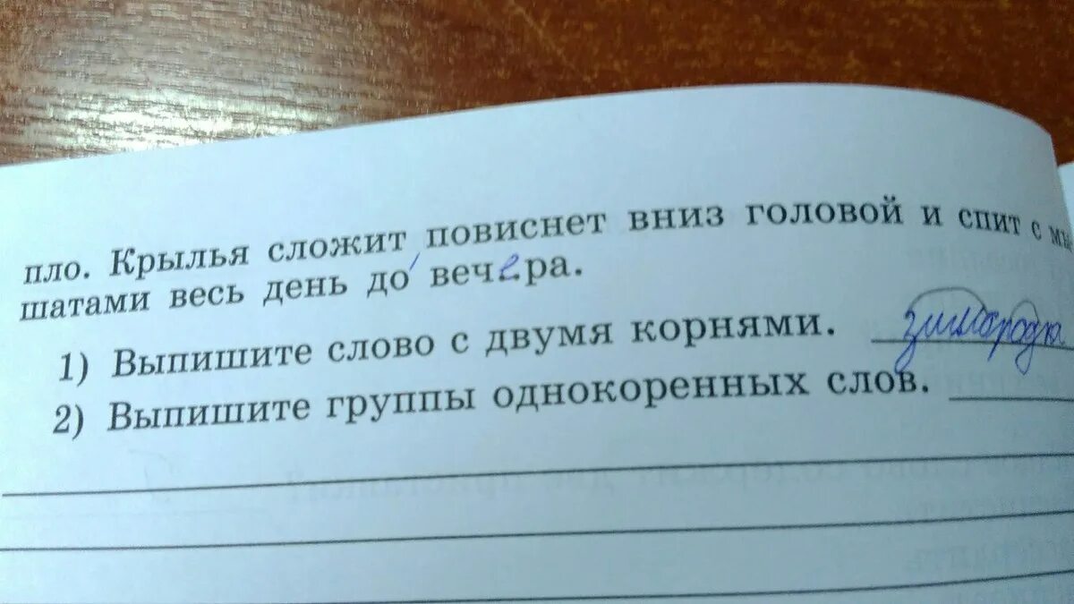 Выпишите из словаря две группы слов. Выпиши однокоренные слова. Выпишите. Выпишите группами однокоренные слова выделяя в каждом из них корни. Выпишите группы однокоренных слов лебедь.