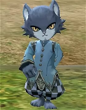 Kai cat