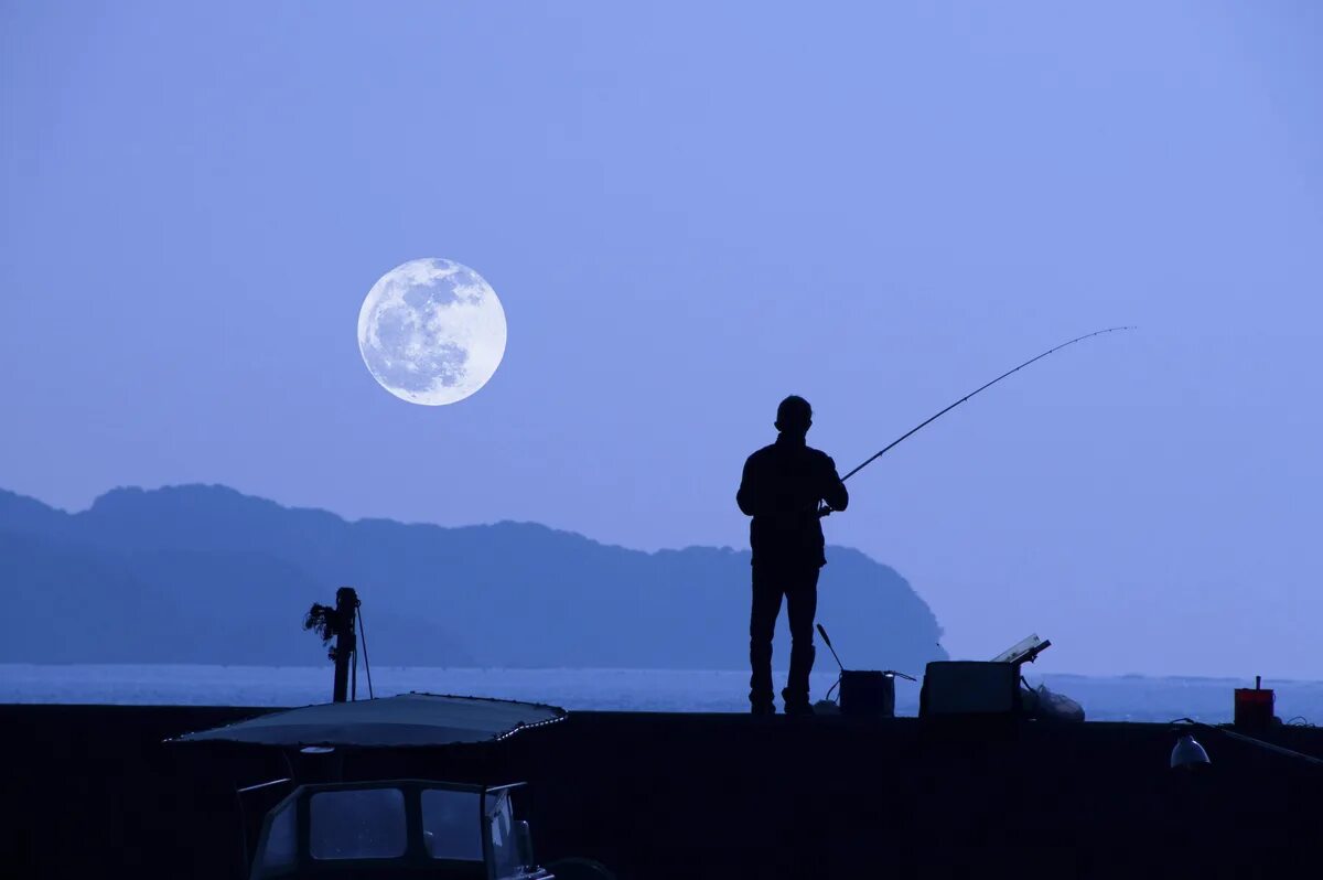 Рыбак на Луне. Луна рыбалка. Рыбалка картинки. Рыбалка в полнолуние.
