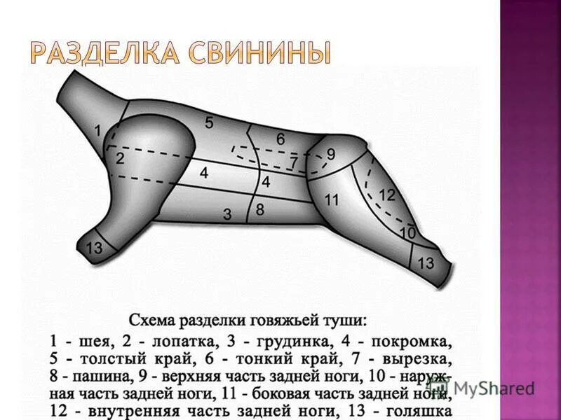 Схема разделки туши свиньи. Схема разруба туши свинины. разделка туши свинины схема. схема разделки свиной туши с описанием. схема разделки свиной полутуши на 3 части.