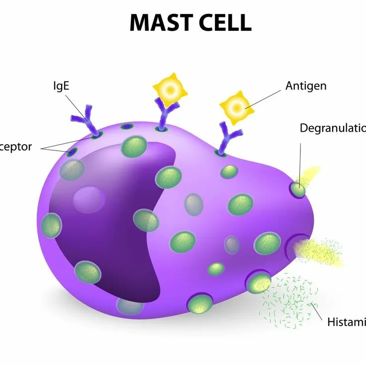 Mean cell