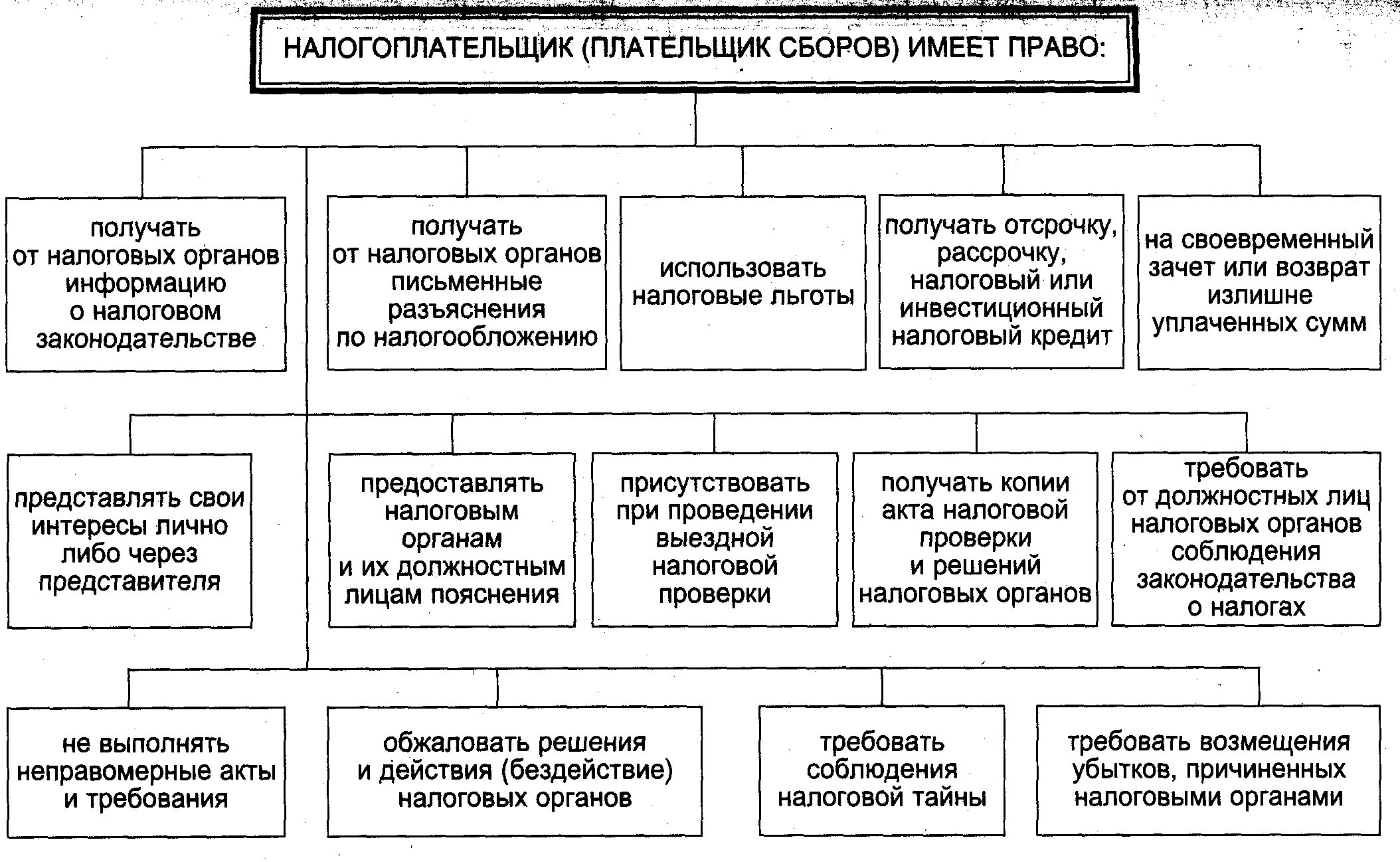 Схема прав и обязанностей налогоплательщиков. Составьте схему прав налогоплательщика.