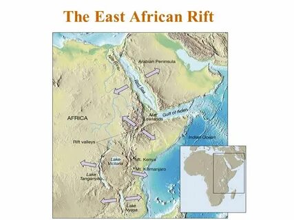 The east african