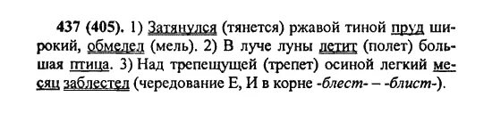 Русский язык 7 класс упражнение 449. Русский язык 7 класс упражнение 446 разумовская. Упражнение 446. Русский язык 7 класс упражнение 446 разумовская. Русский язык 7 класс упражнение 446 разумовская.