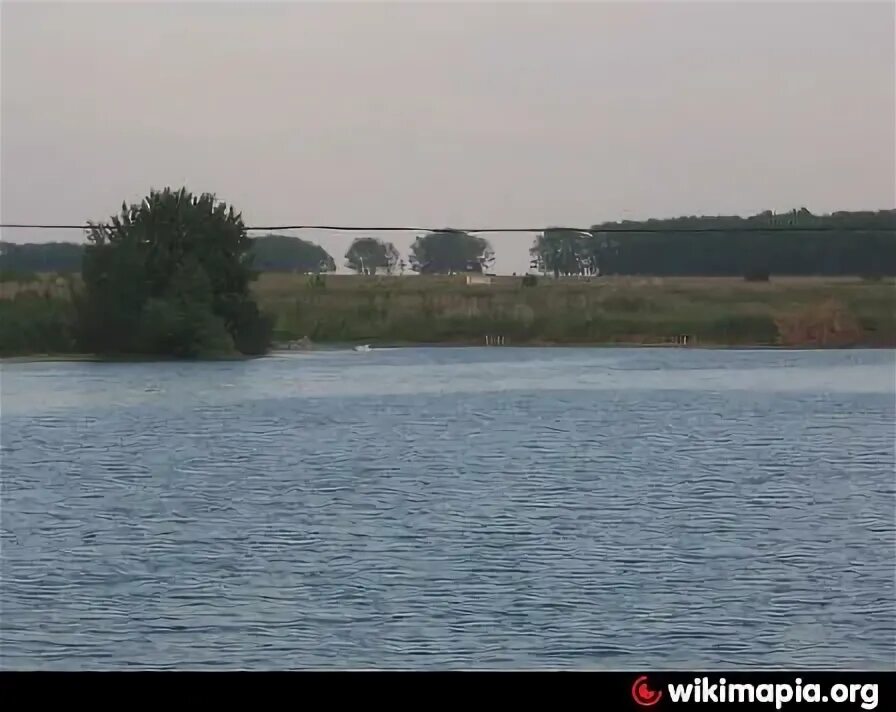 Село Павловка пруд. Пруд Павловка Самарская. Павловка пруд в Пролетарске. Пруд Павловка Рязань.