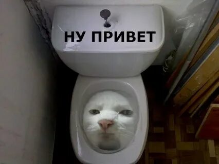 Аккуратней иди