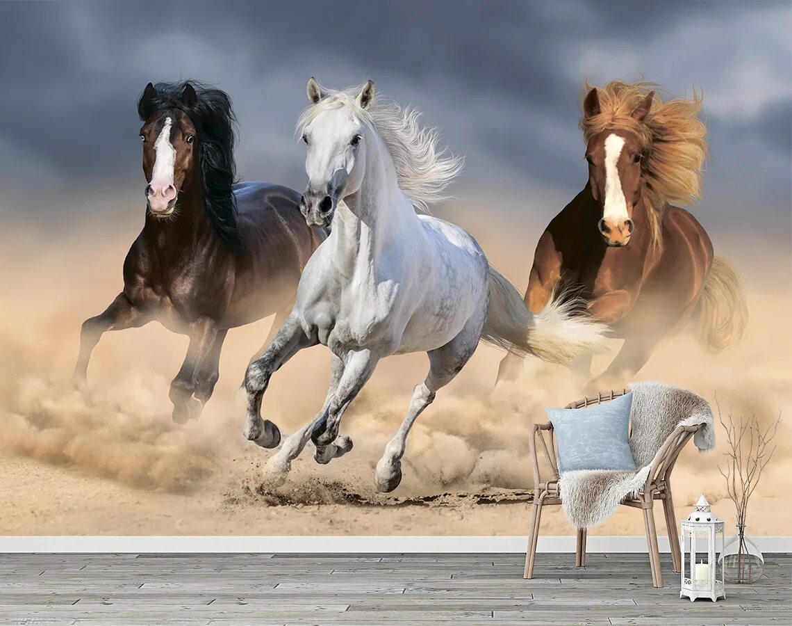 Три лошадки. Лошадь бежит. Фотообои лошади. Фотообои с изображением лошади. Фотообои с лошадьми на стену.