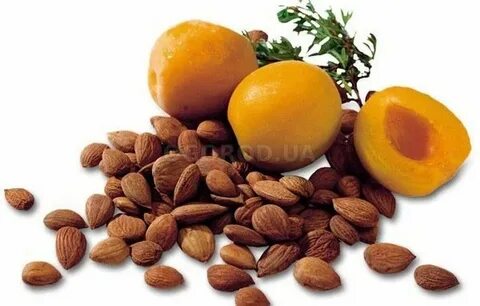 Сколько можно съесть абрикосовых косточек