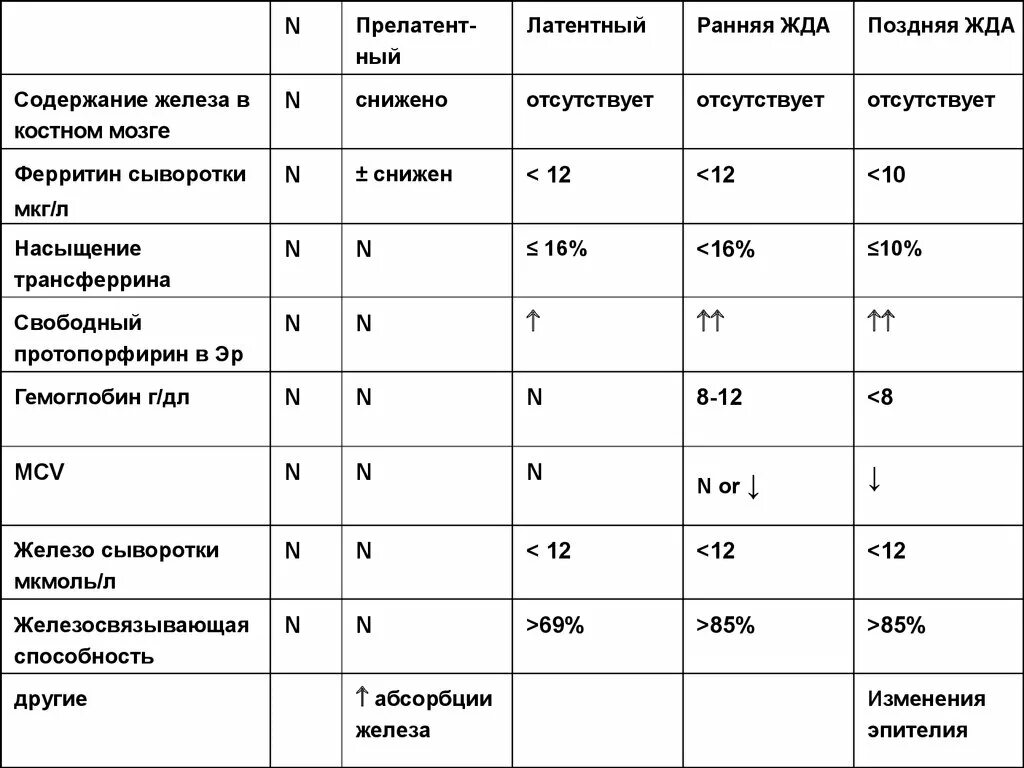Меню при железодефицитной анемии. Фолиеводефицитная анемия анализ крови показатели. примерный рацион питания при железодефицитной анемии. витамин-в12 и фолиеводефицитной анемии. диетотерапия при жда таблица.