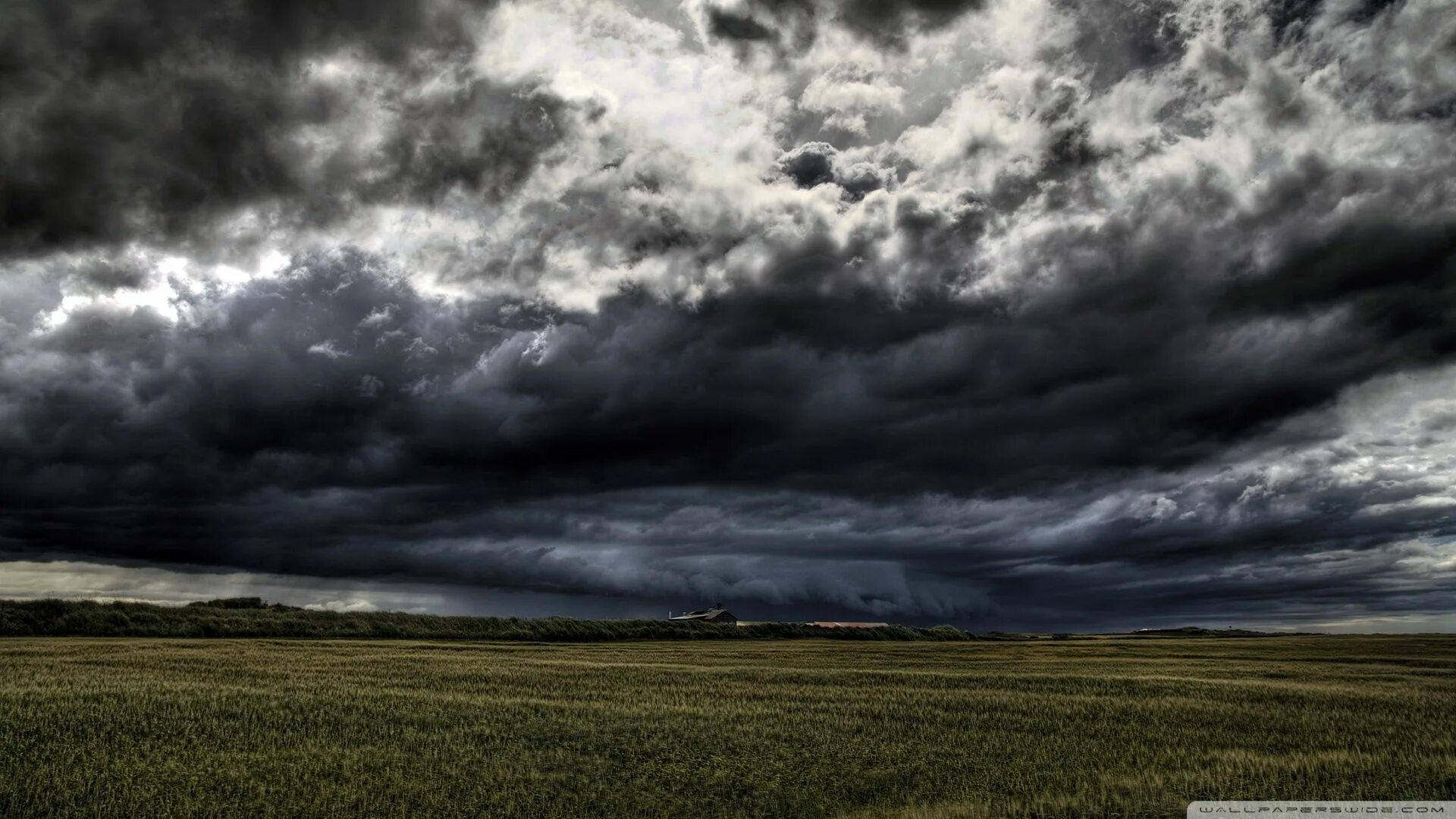 Cloud field. Cloud field