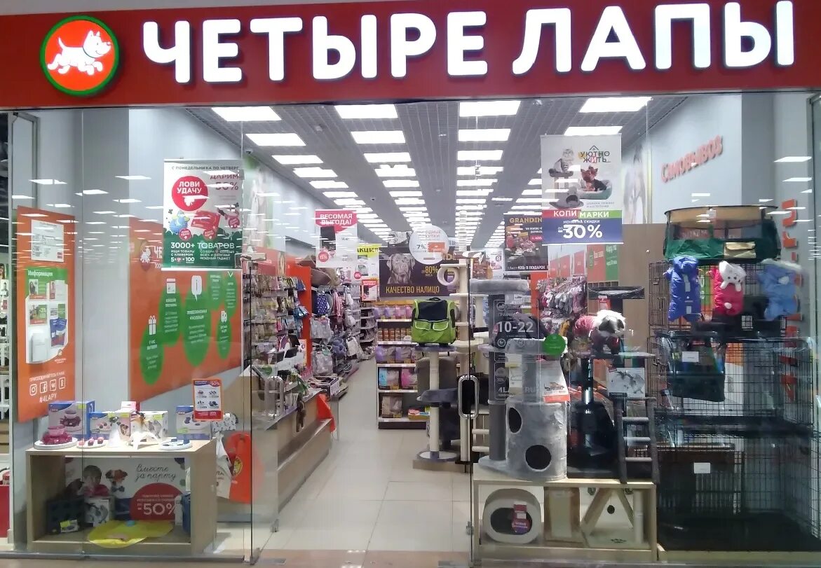 Четыре лапы. Четыре лапы волгоград интернет магазин. 4 лапы вывеска. 4 лапы волгоград интернет магазин. Магазин четыре лапы волгоград.
