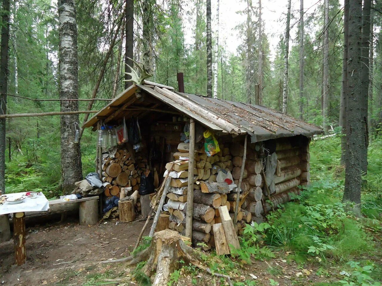 Строю избу в тайге. Заповедник лесная избушка спб. Заимка тайга избушка сибирь внутри. Строю избу в тайге. Охотничье зимовье в тайге.