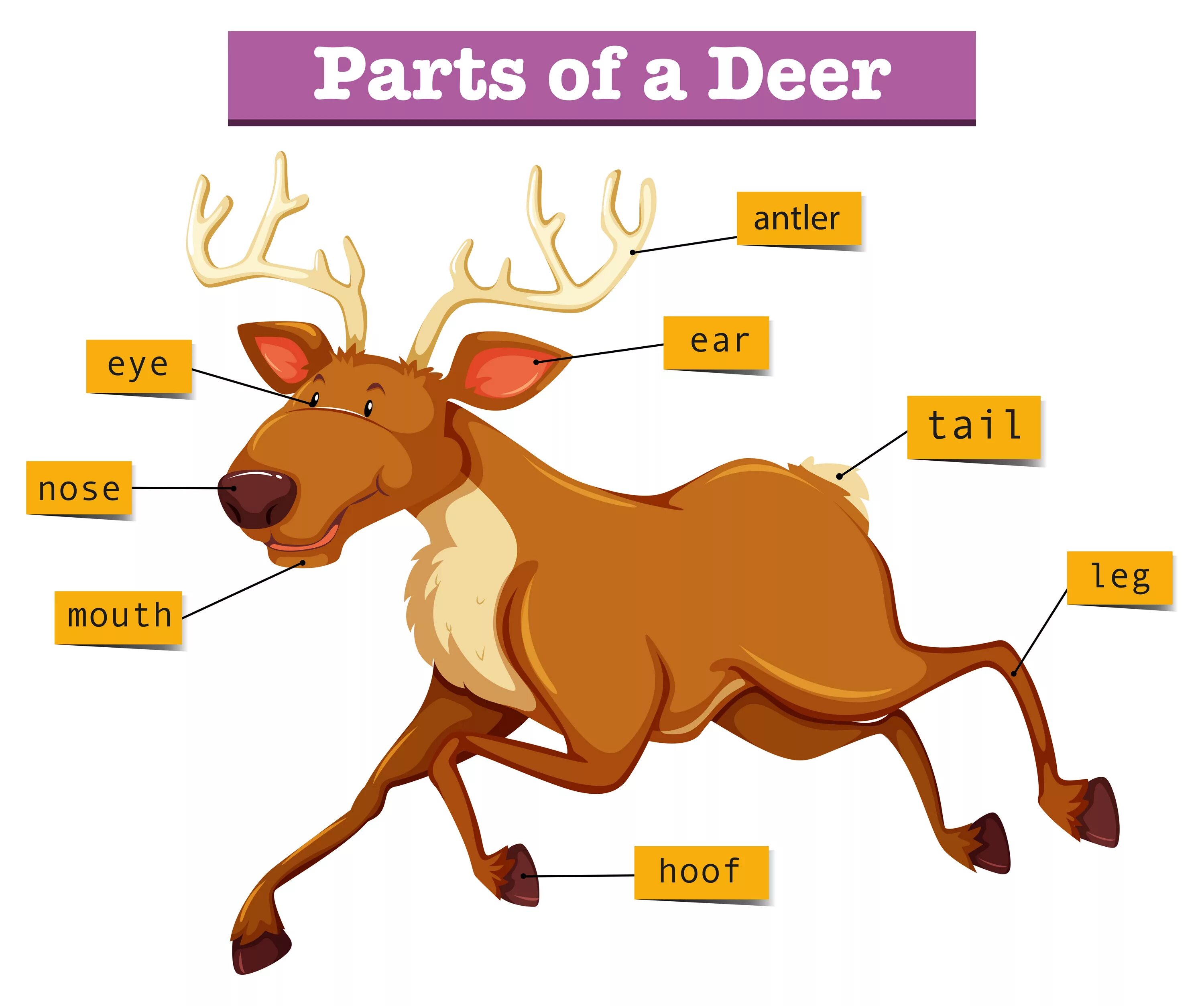 Oh deer перевод с английского
